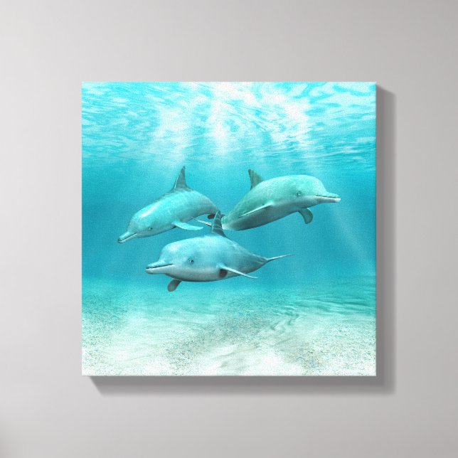 Swimming Dolphins Canvas Print (Front)