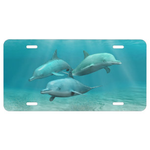 Swimming Dolphins License Plate