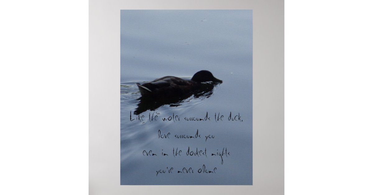 Swimming Duck in Lake Inspirational Quote Poster Zazzle