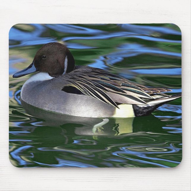 swimming duck mousepad (Front)