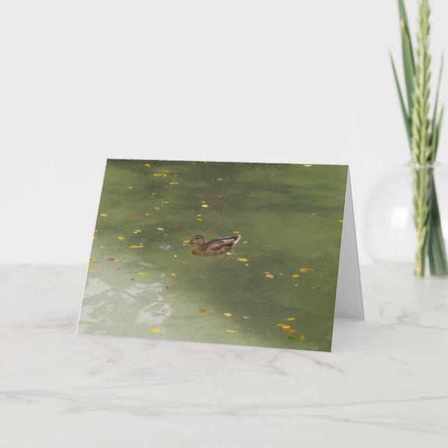 "Swimming Duck" Thank You Card (Front)