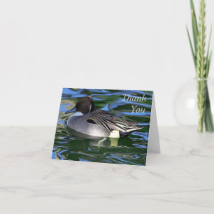 swimming duck, Thank You Note Card