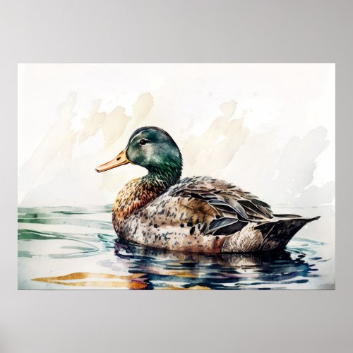 Swimming Duck Watercolor Poster