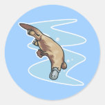 swimming duckbilled platypus classic round sticker
