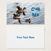 Swimming Ducks (Front & Back)