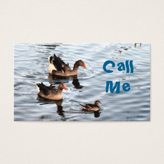 Swimming Ducks (Front)