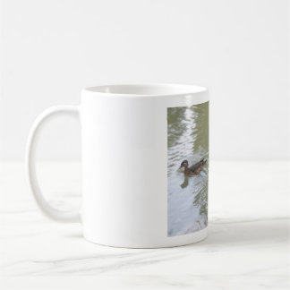 Swimming Ducks Coffee Mug