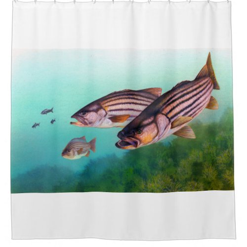 Swimming Fish Striped Bass Shower Curtain