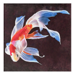 Swimming Goldfish Realistic Fine Art