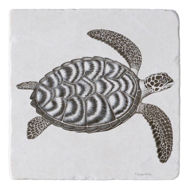 Swimming Hawksbill Sea Turtle Stone Trivet (Front)