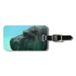 Swimming Hippo Luggage Tag