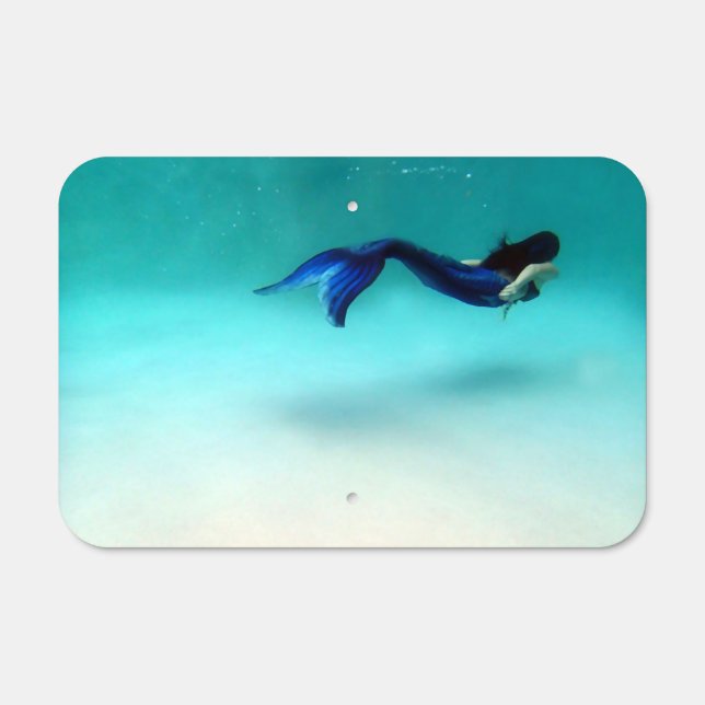 Swimming Home Metal Sign (Front)