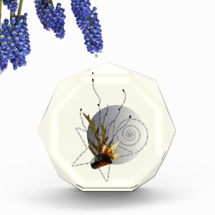 Swimming in 2 pregnancy poem coastal star modern photo block