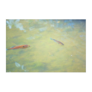 Swimming in the Sun Acrylic Print
