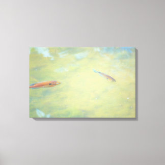 Swimming in the Sun Canvas Print