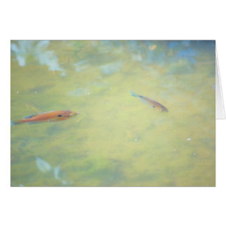 Swimming in the Sun Cards