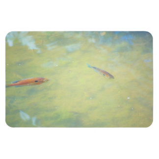 Swimming in the Sun Magnet