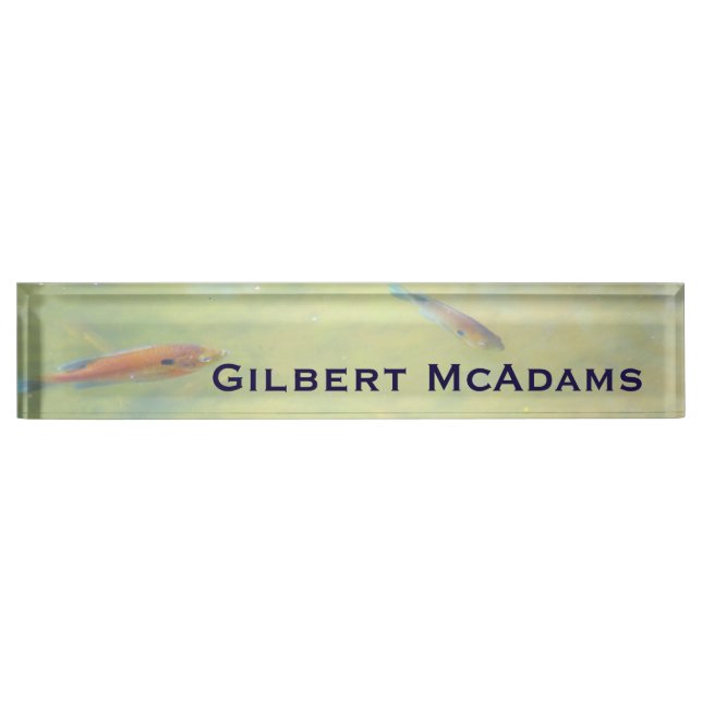 Swimming in the Sun Name Plate (Front)