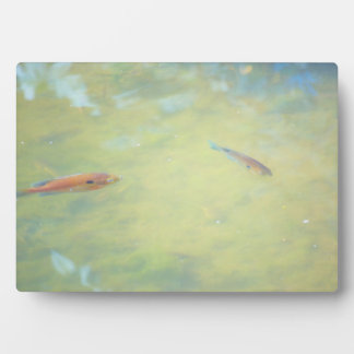 Swimming in the Sun Plaque