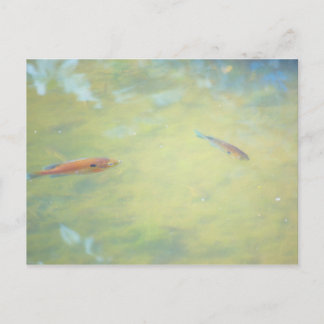 Swimming in the Sun Postcard