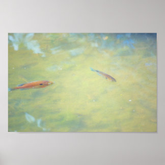 Swimming in the Sun Poster