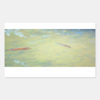 Swimming in the Sun Rectangular Sticker