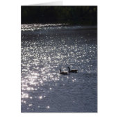 Swimming into the Light (Front)