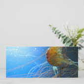 Swimming Jellyfish Closeup (Standing Front)