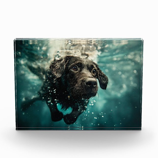 Swimming Labrador Puppy Underwater Design Photo Block (Front)