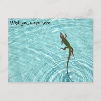 Swimming Lizard postcard