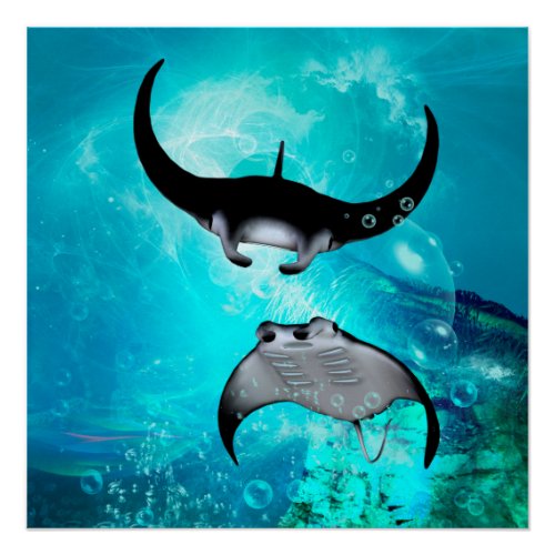 Swimming manta  rays poster