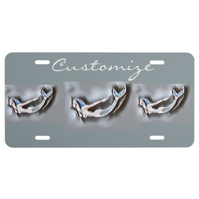 Swimming Mermaids Thunder_Cove Grey License Plate (Front)