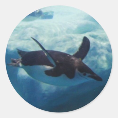 swimming penguin classic round sticker