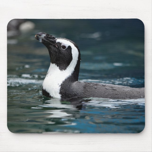 Swimming Penguin Mouse Pad (Front)