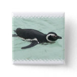 Swimming Penguin Square Pin