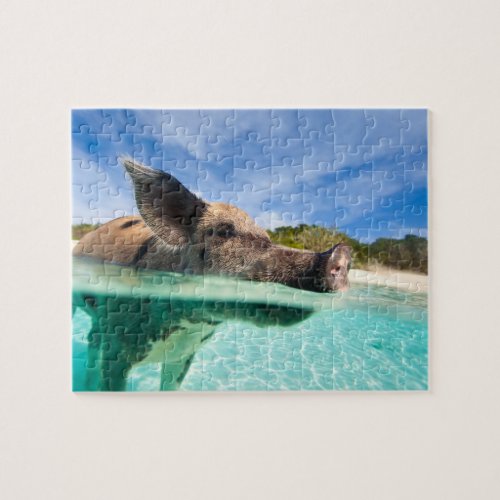 Swimming pig of Exuma Jigsaw Puzzle