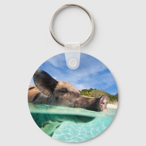 Swimming pig of Exuma Keychain