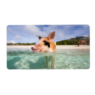 Swimming pig of Exuma Label