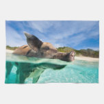 Swimming pig of Exuma Towel