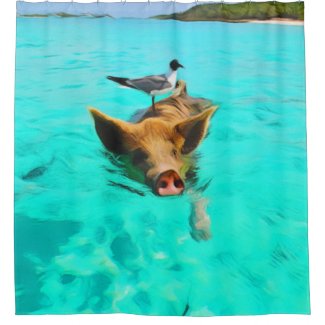 Swimming Pig with Bird in Bahamas