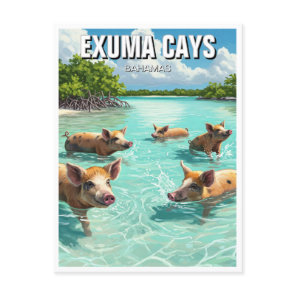 Swimming Pigs Exuma Cays Bahamas Travel Postcard