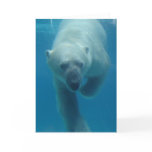 Swimming Polar Bear  Greeting Card