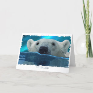 SWIMMING POLAR BEAR HOLIDAY CARD