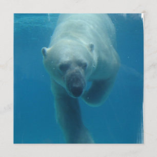 Swimming Polar Bear Invitations
