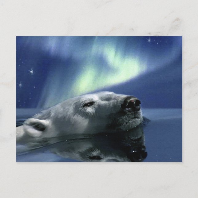 SWIMMING POLAR BEAR Postcard (Front)