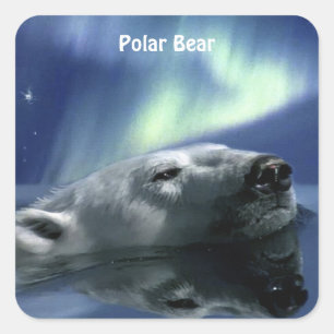 SWIMMING POLAR BEAR Wildlife Stickers