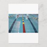 Swimming Postcard at Zazzle