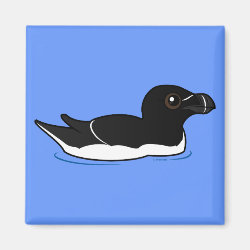 Swimming Razorbill, breeding Square Magnet