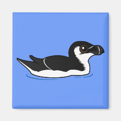 Swimming Razorbill, non-breeding Square Magnet