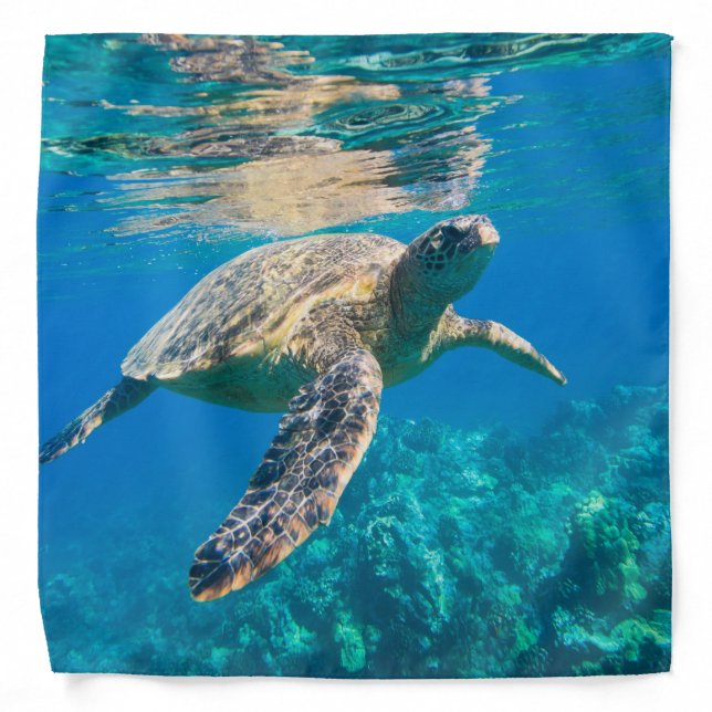 Swimming Sea Turtle Bandana (Front)